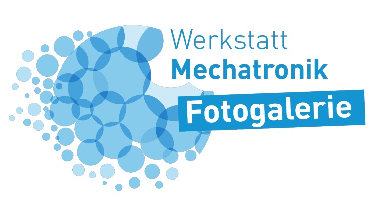 Logo Werkstatt Mechatronik