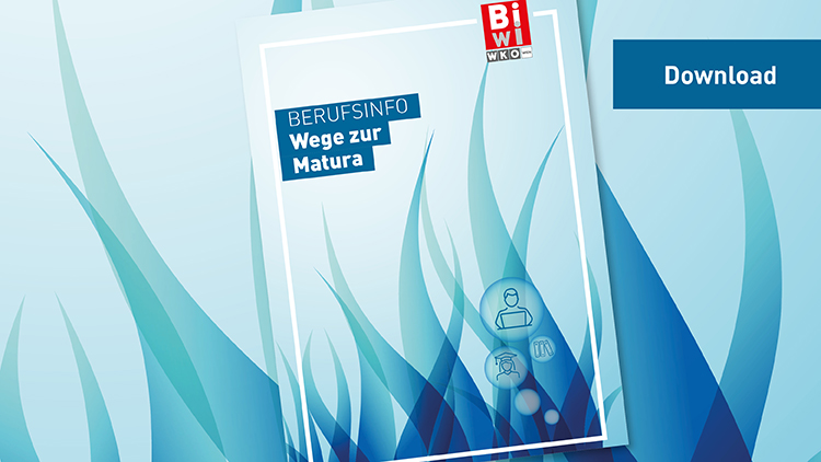 Cover einer Broschüre, auf der ganz oben Berufsinfo, Wege zur Matura steht