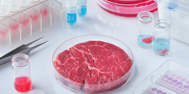Fleisch in der Umgebung eines Labors
